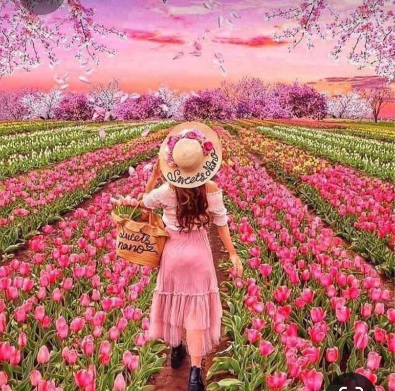 Screenshot_20230324_235757_Pinterest