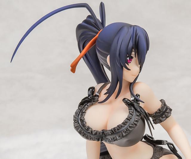 akeno himejima lingerie