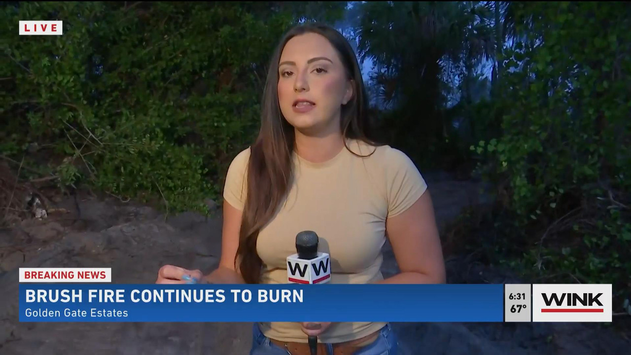 05.23 - 11.00.00 - WINK News @ 6 00AM Sunday. Local news, sports and ....ts_snapshot_31.16_[2021.05.