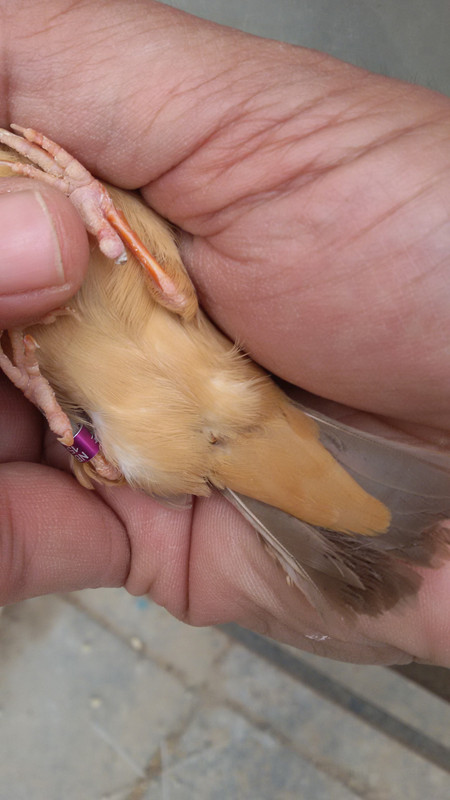 ٢?١٩?٤?٦_?٨?٢٤٢