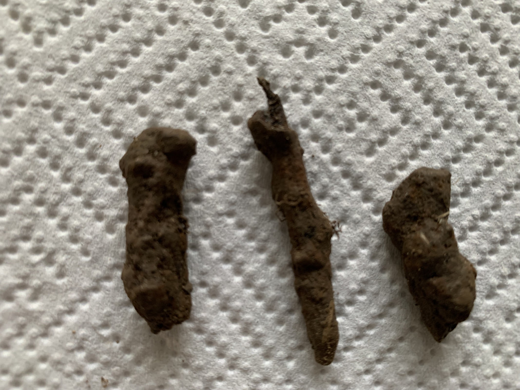 9FC3A889-A8B7-4E67-A5EB-C8F8EDAFD3D0