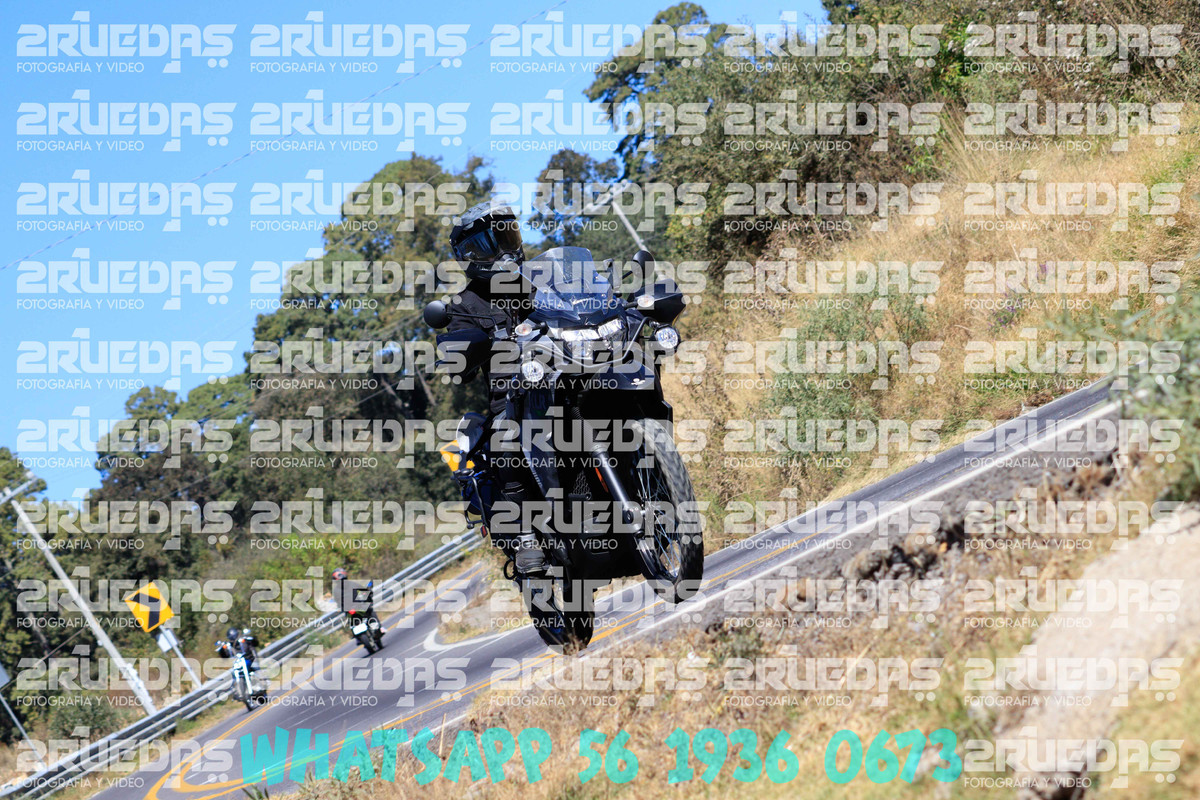MG 0608 — Postimages