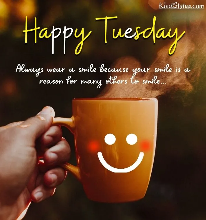 TUESDAY-mardi-17