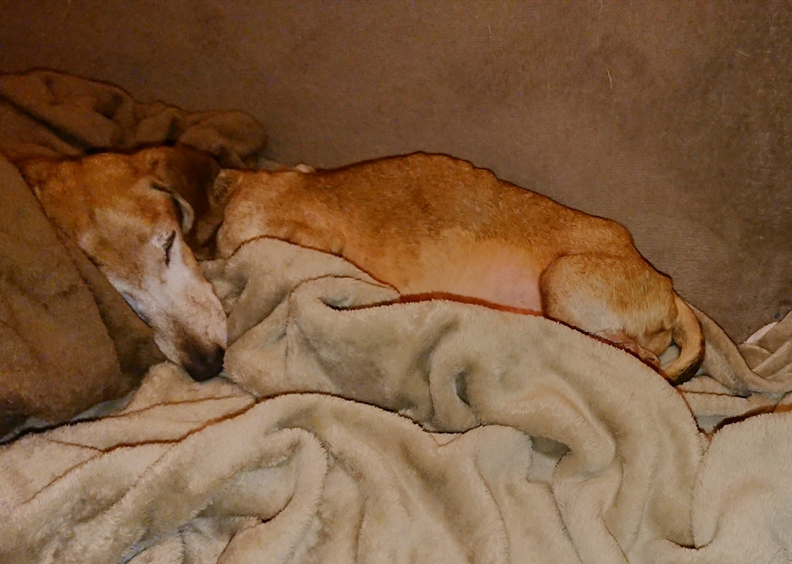 [Image: 20250125-210125.jpg]