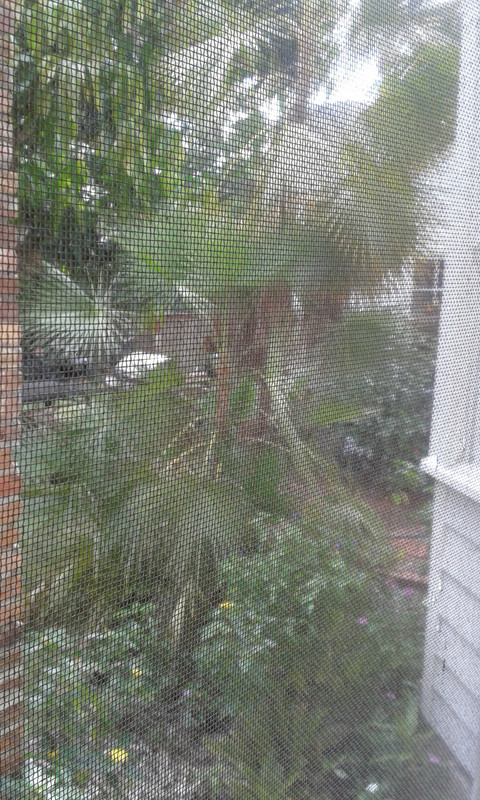 20190313_145939