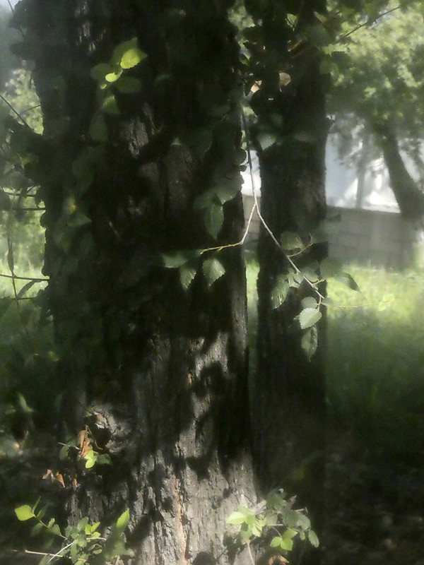 P1050418-0.1... (1024)