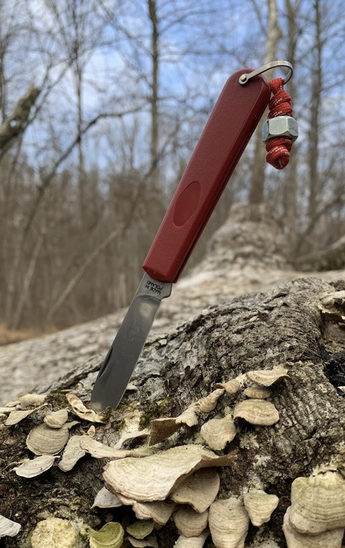 C6394DC8-713A-4AB9-B856-8176F44D5CB8