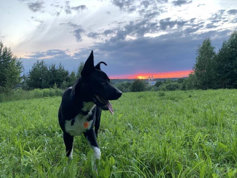 DE698A3B-298C-4D00-A48D-97C74ECC4A0A