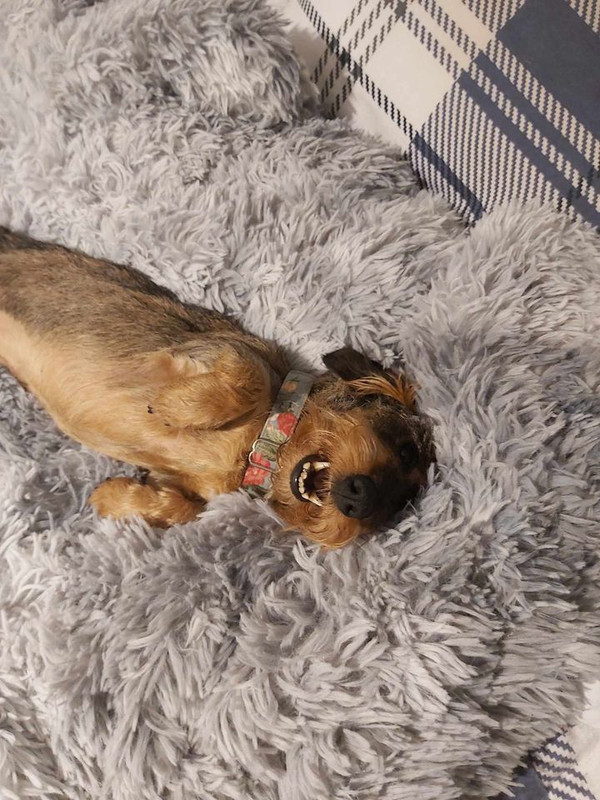 [Image: 450090920-449903874634789-6243980927559865419-n.jpg]