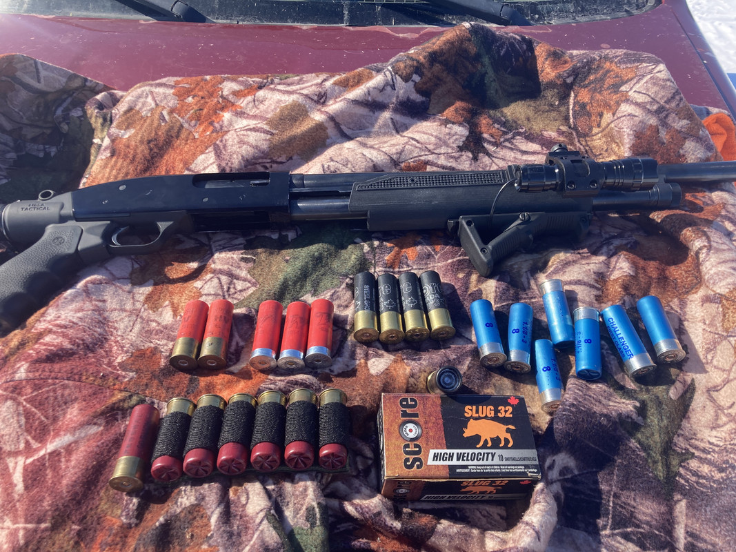 A0201531-B640-42C5-A6B7-98EC017A7D21