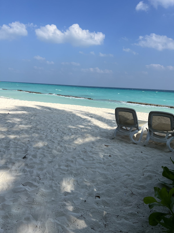 A52DE299-F7C4-4A33-B701-FE0E38F9F912