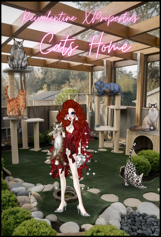 httpsipostimgccGh70Qz7nCAT-HOME-XPROPERTIESpng