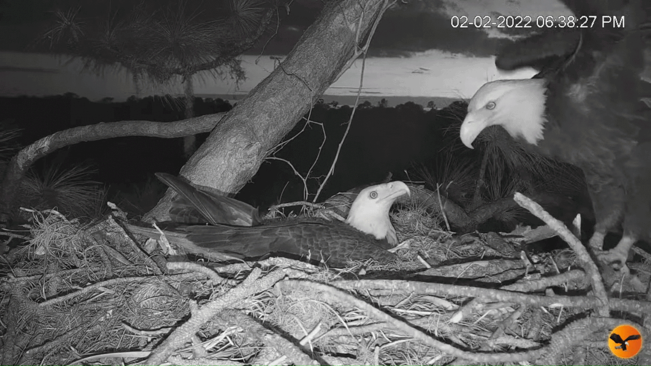 Webp.net-gifmaker (1)