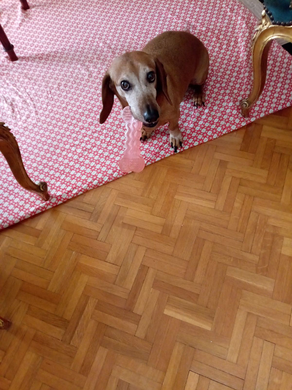 [Image: IMG-20230902-101748.jpg]