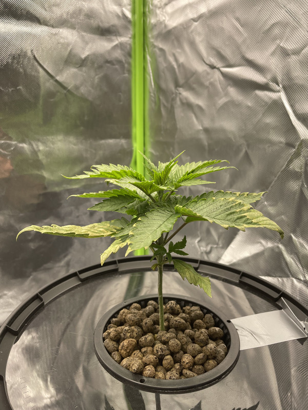 810A239C-B3FB-4D57-8216-8D70C614B47E