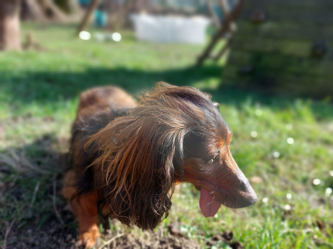 [Image: IMG-20240429-WA0010.jpg]