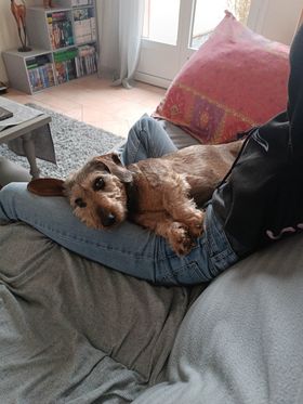 [Image: 336648201-791270391861871-1549832849183313838-n.jpg]