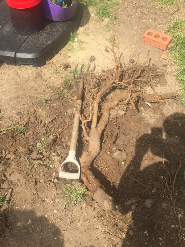 0AF2794E-C1B7-47C2-8ECF-4180B590A34E