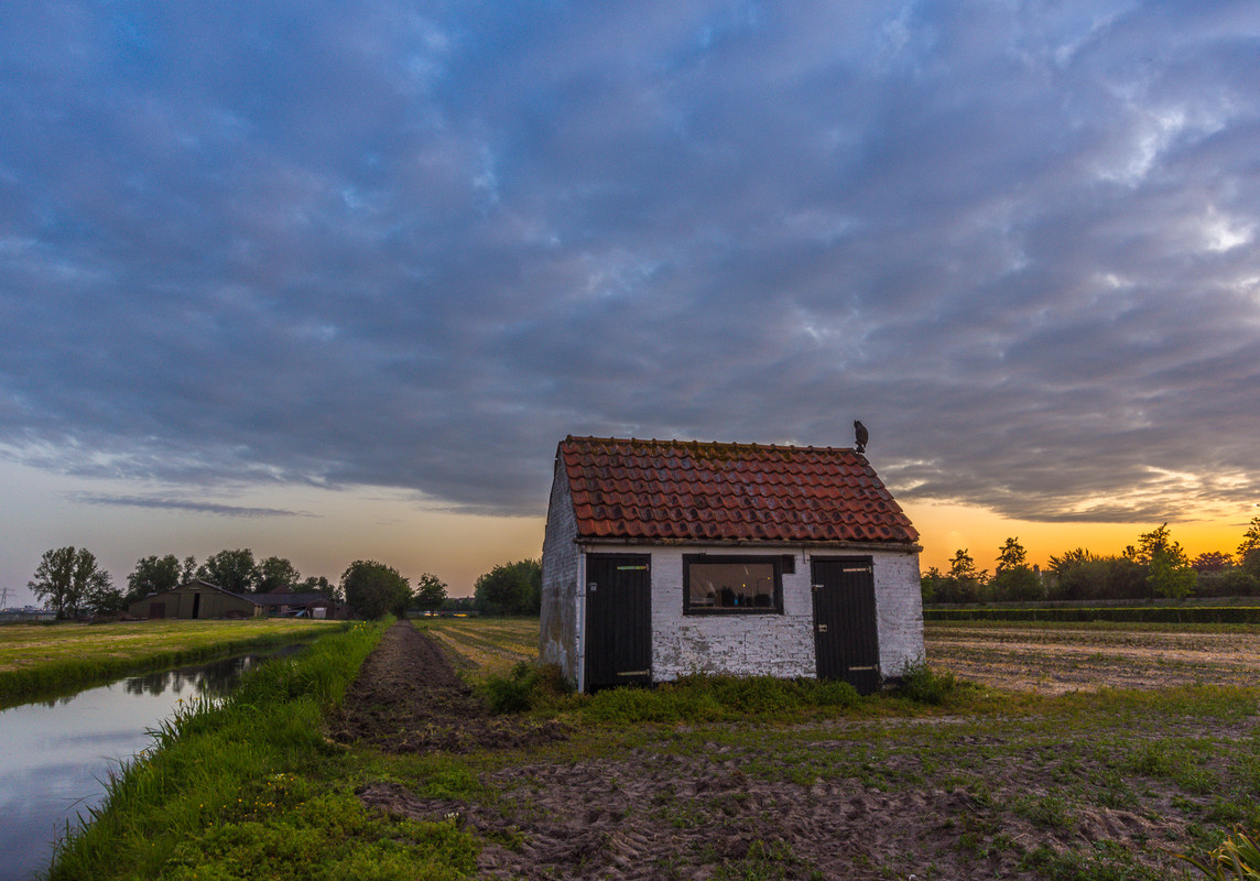 Fotografie