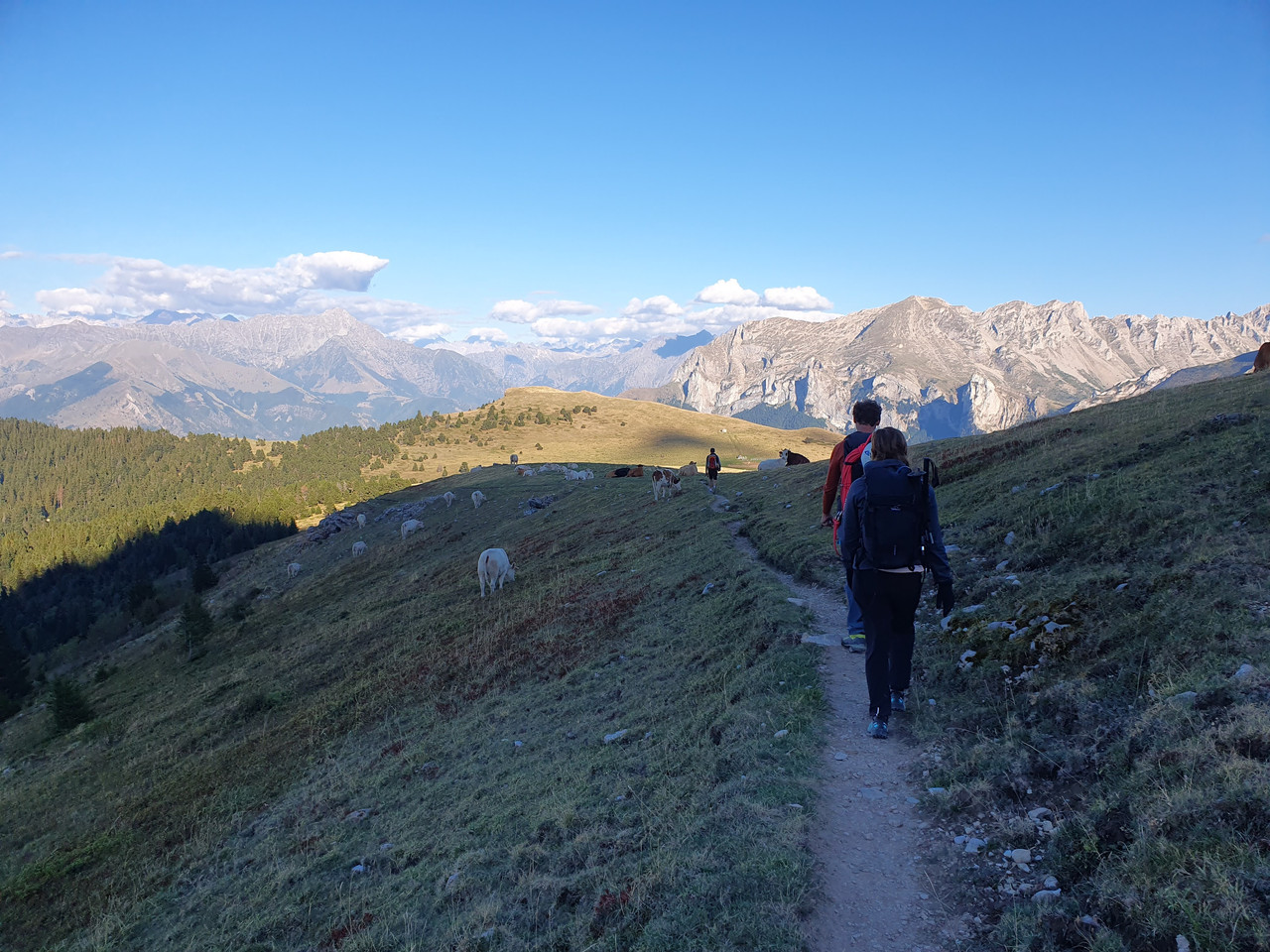 Alpi Samedi 49