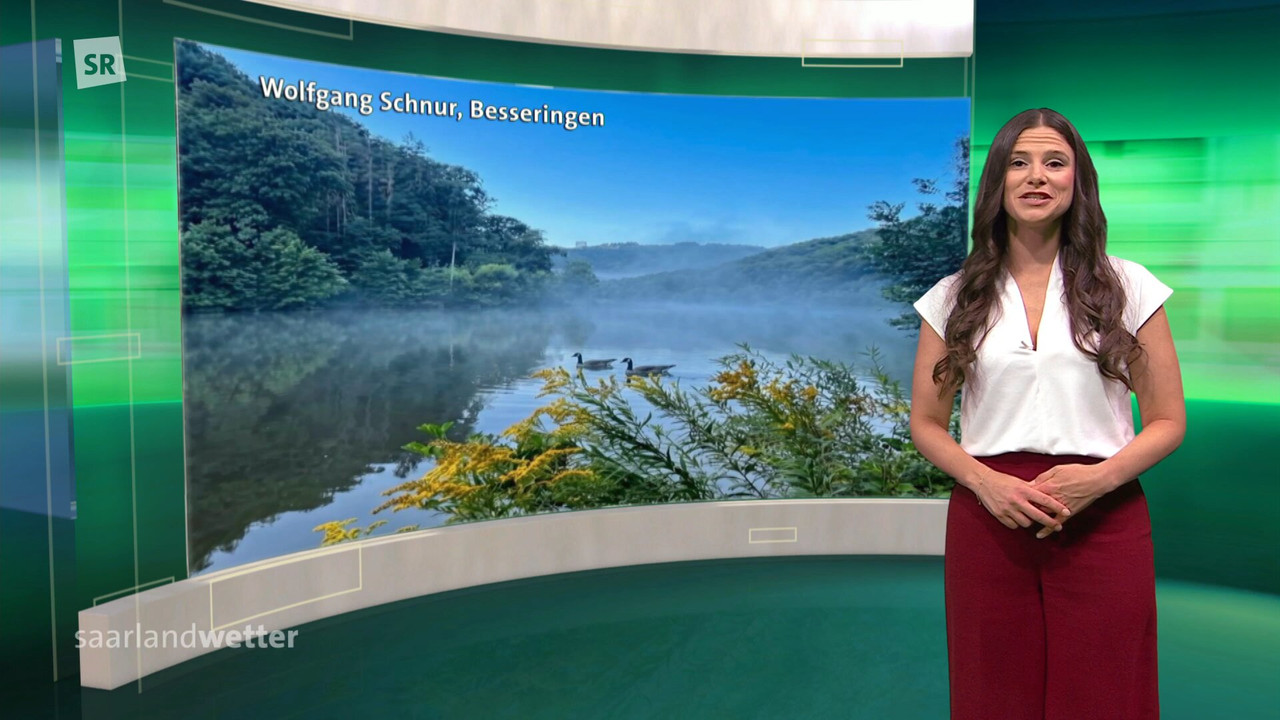 Screenshot (147253)