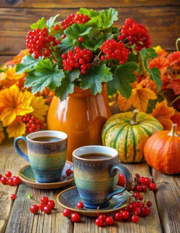 460463057_1204407187441329_7255620043296828869_n (1)