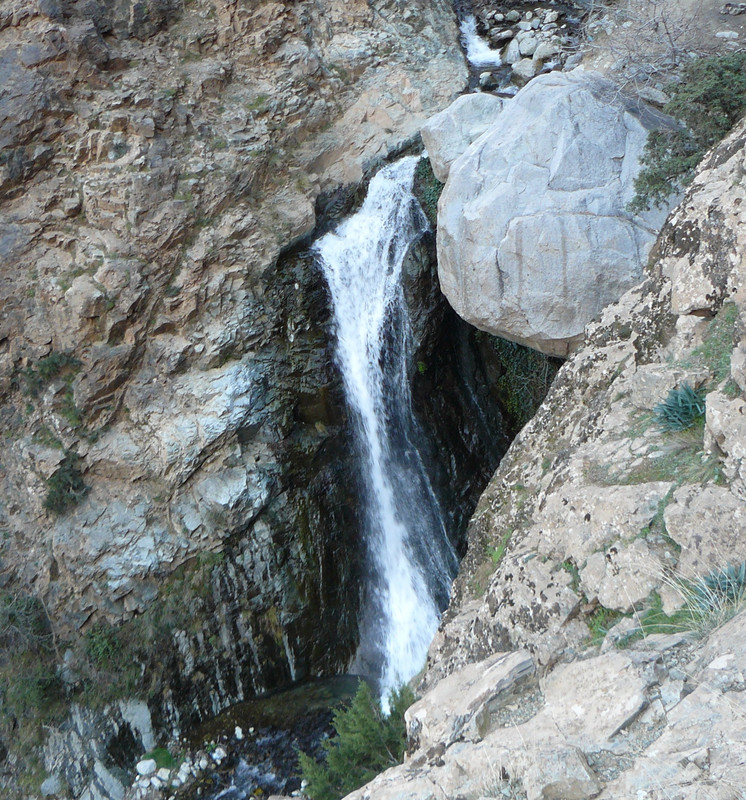 [Obrazek: P1120686.jpg]