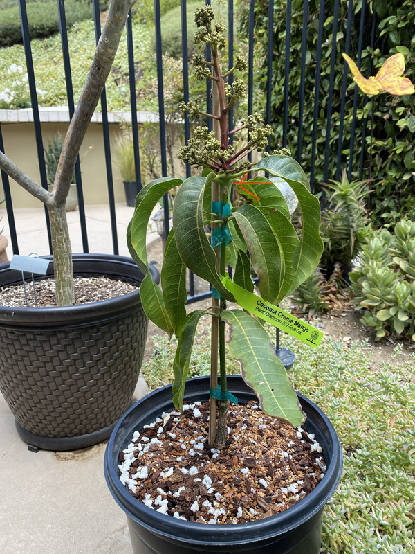 6011DA68-4F91-4B45-B19B-1B3979EF92FA