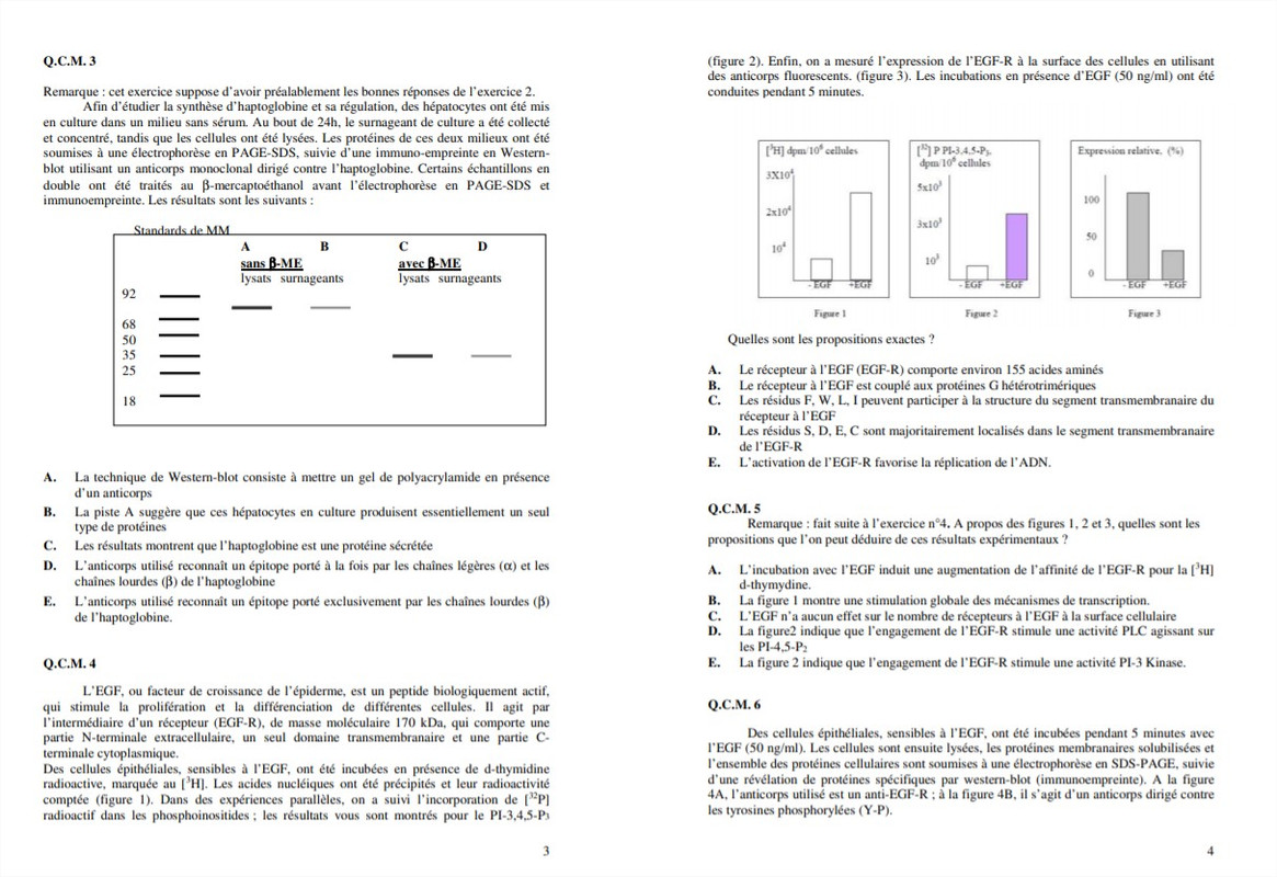 poly UE8 complet 2019-20 - Google Chrome_7