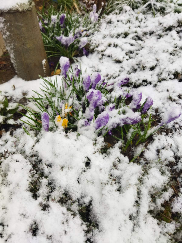 зображення_viber_2025-04-07_09-41-52-628