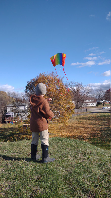 IMG 20251112 135028718