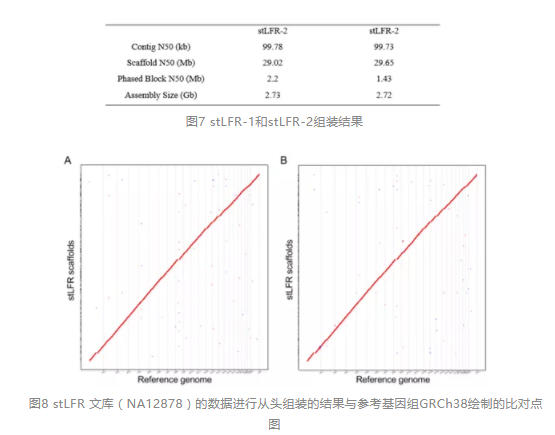 长分子DNA研究新方法stLFR展示出巨大潜力_8