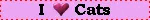 i heart cats