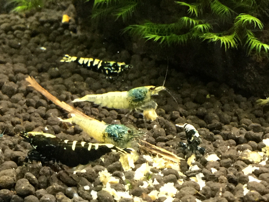 34DC22B8-EB4F-4604-AB3E-E959FC1B0557