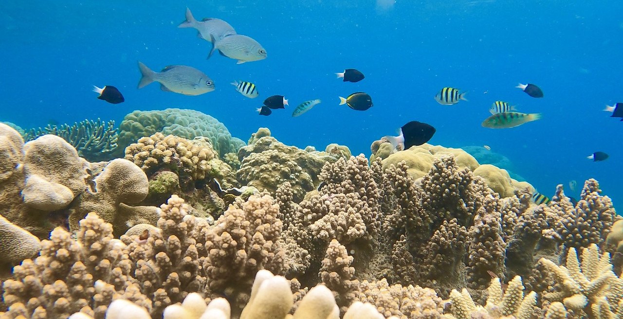 53014684-BCCC-485A-9F41-C4C434AB5B6F