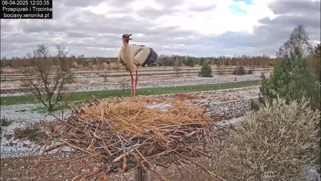 06042025minutazbocianem_6