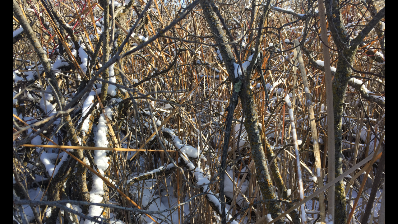 2D19A417-631E-4236-9F86-7013AC7E37EB