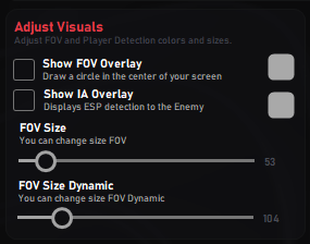Visual and FOV configuration panel