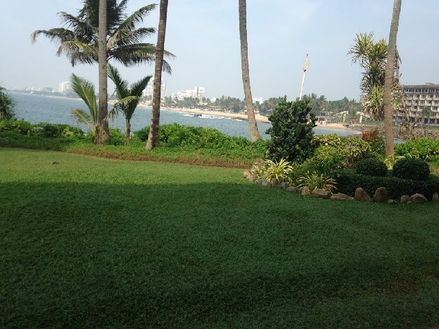 IMG-9823.jpg