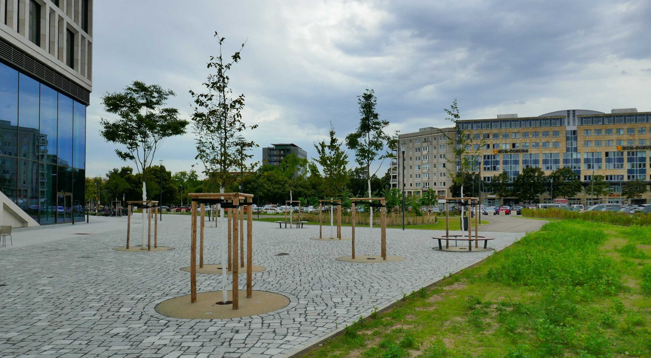 Bild: https://i.postimg.cc/Gh9y2cNn/P1300308.jpg