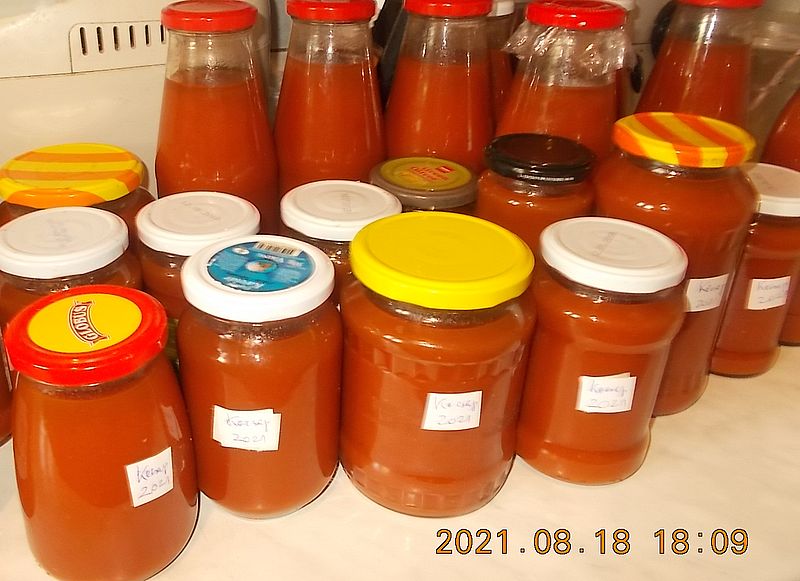 https://i.postimg.cc/GhB3MFsX/kecsap1-2021.jpg