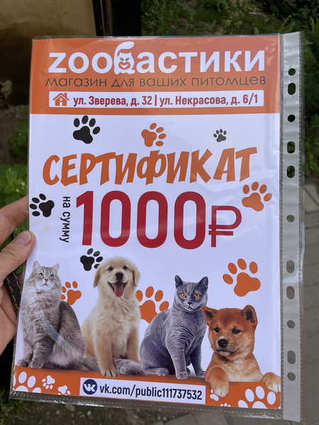 https://i.postimg.cc/GhB4MCnH/IMG-8095.jpg