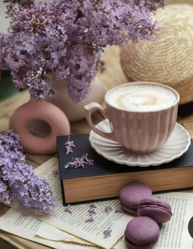 Screenshot_20230219_201644_Pinterest