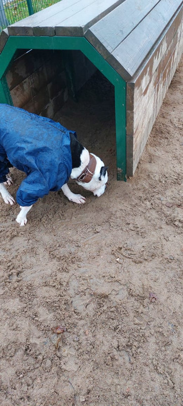 AC01D56E-36E5-4609-A2FF-4B5A0753F464