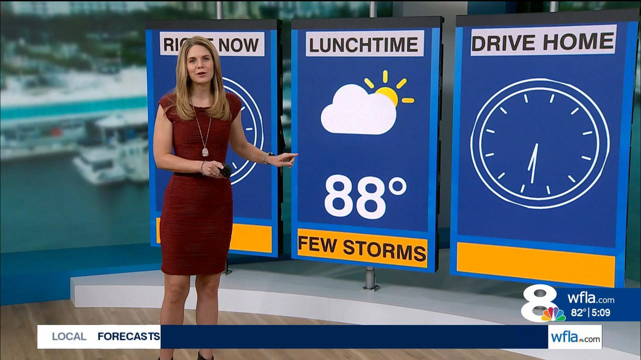 08.31 - 09.30.00 - News Ch8 Today at 4 30AM. Local news, sports and w....ts_snapshot_00.42.45_[2021.
