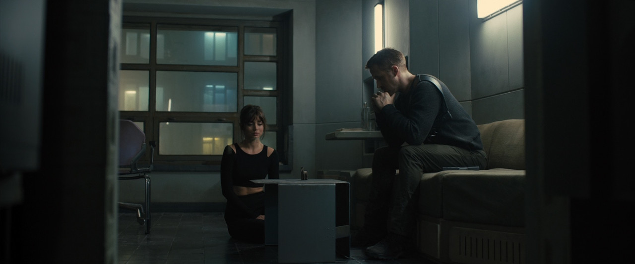 Blade Runner 2049 2017 (1080p x265 10bit Tigole).mkv_snapshot_01
