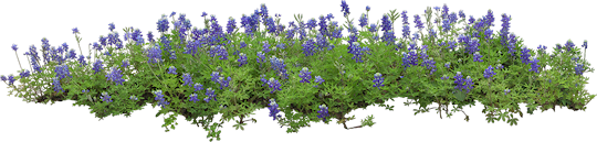 ISmellAutumn-LL-Element51