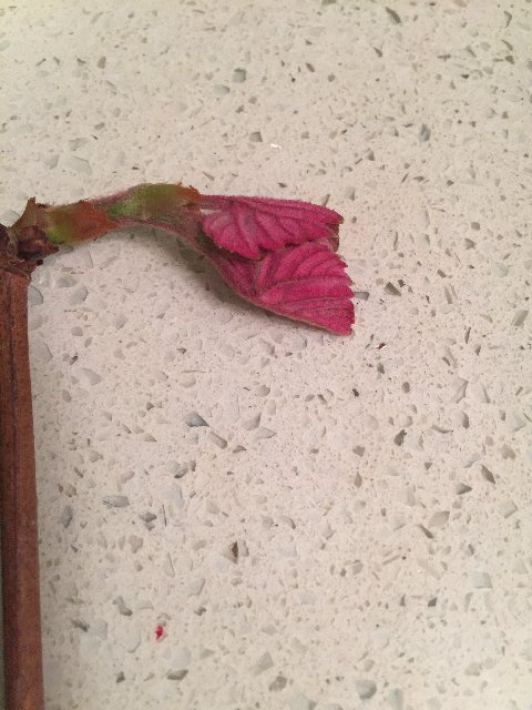 124102C0-48BF-4875-8FFF-6836A1D6A3B4