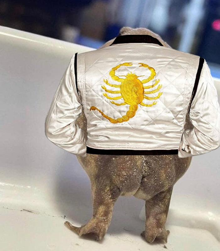 DF7289FB-5BC9-4E71-8CA0-267656CB6916