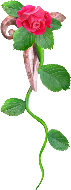Rose16
